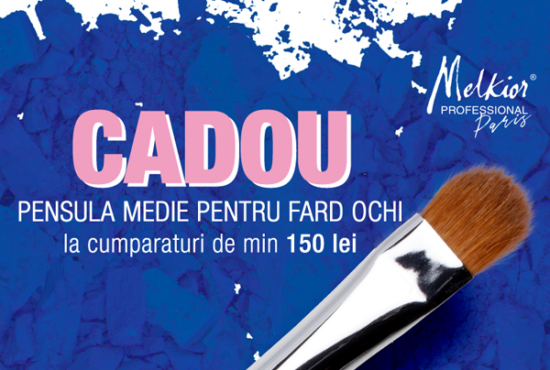 Melkior Cadou Pensula Fard Ochi